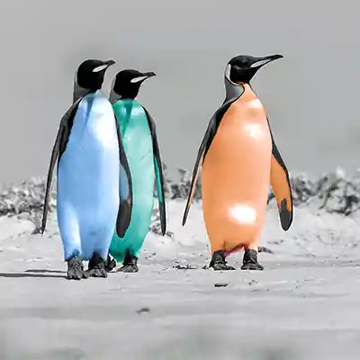 P4: digital kolorierte Königspinguine
