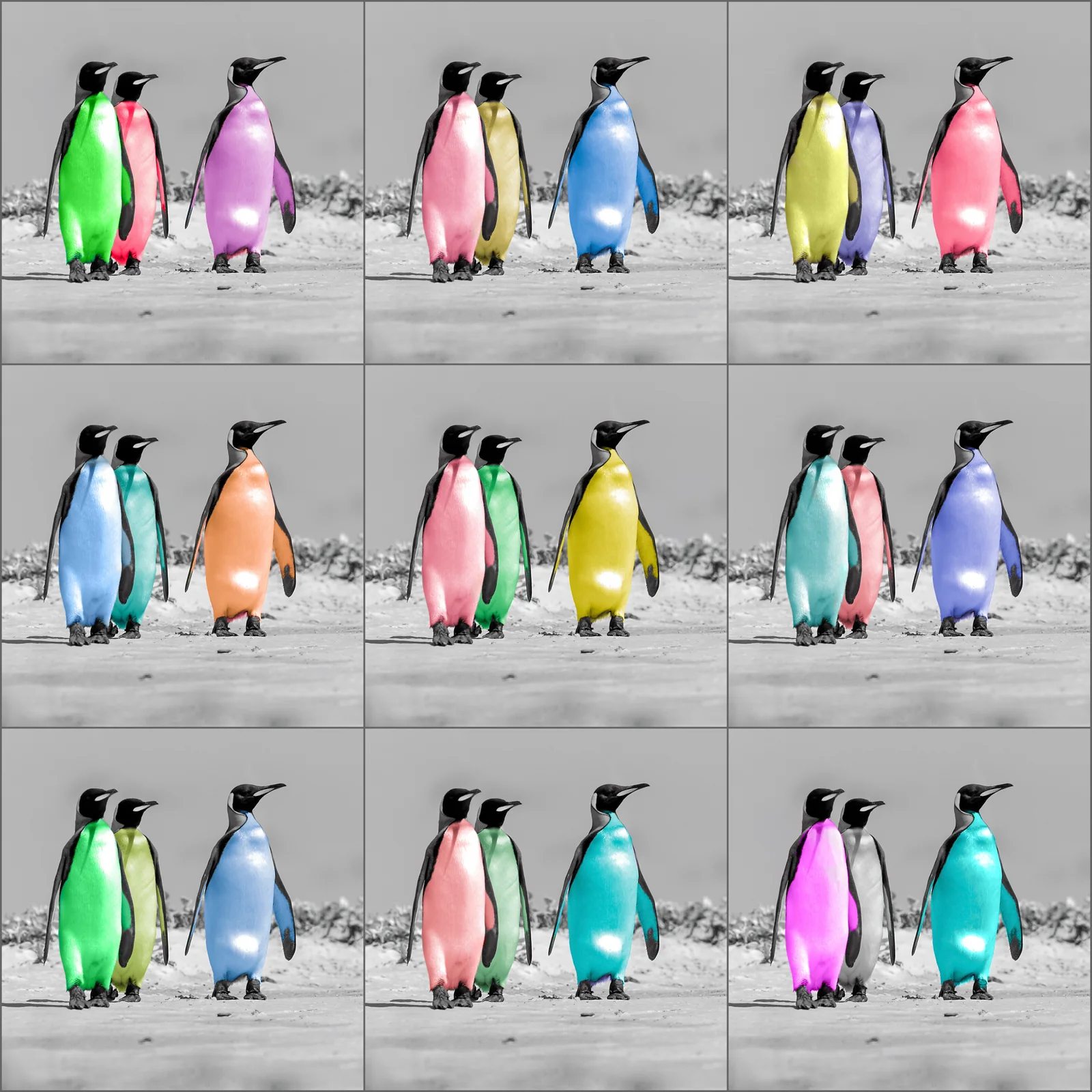 Gesamtansicht der neun farbigen Pinguinmotive